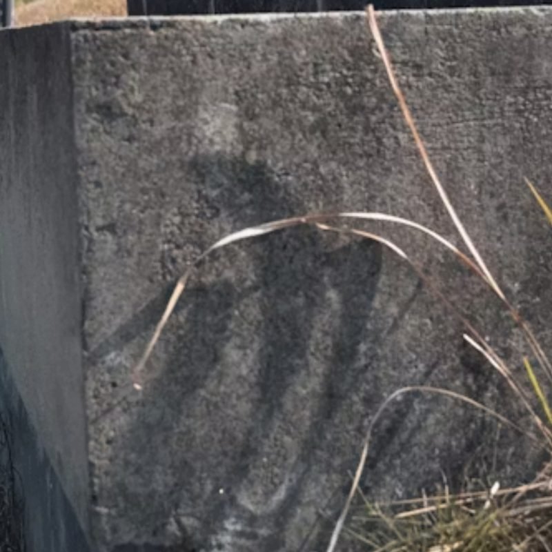 Image 4 Concrete Retaining Wall Construction